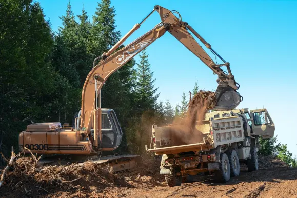 Kasyno Estrella Wsparcie